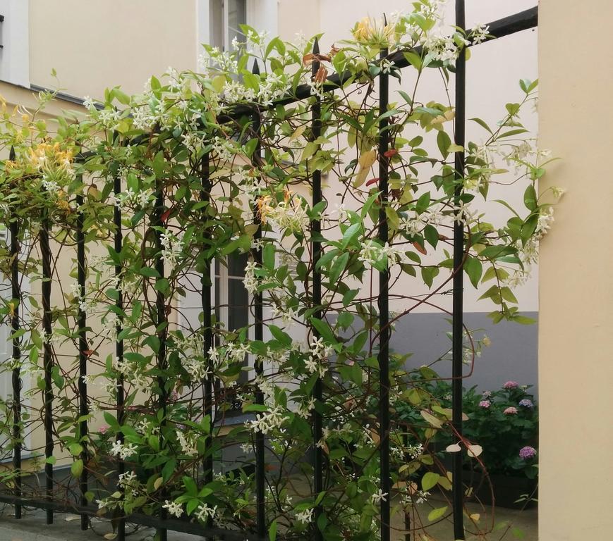 La Cour Du 5Eme - Chambre D'Hotes Párizs Kültér fotó